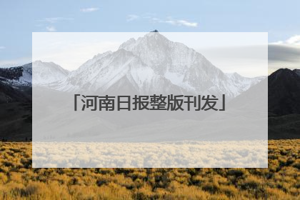 河南日报整版刊发